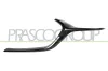 Zier-/Schutzleiste, K&uuml;hlergitter links PRASCO MZ3342204