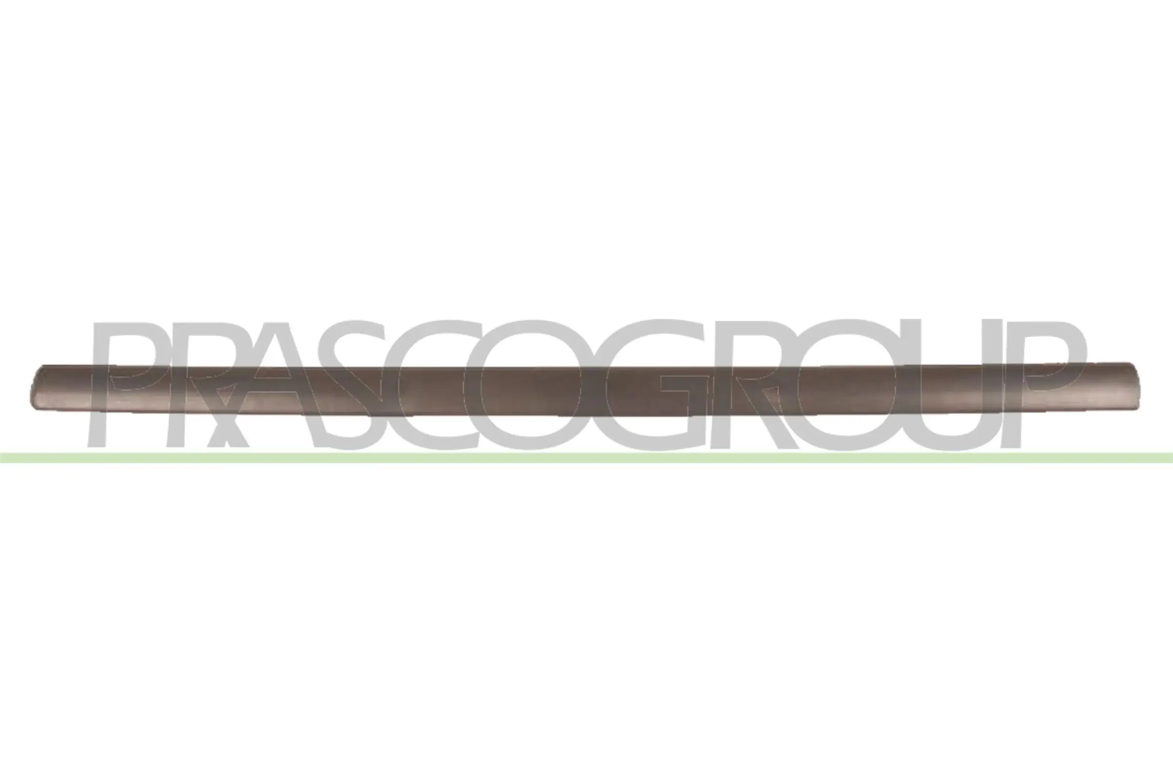 Zier-/Schutzleiste, Tür vorne links PRASCO OP0171404