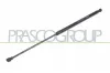 Gasfeder, Koffer-/Laderaum beidseitig PRASCO OP0179055