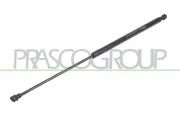 Gasfeder, Koffer-/Laderaum beidseitig PRASCO OP0179055