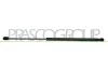 Gasfeder, Koffer-/Laderaum hinten links hinten rechts PRASCO OP0289055