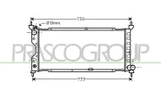 Kühler, Motorkühlung PRASCO OP028R003