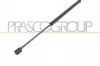Gasfeder, Koffer-/Laderaum beidseitig PRASCO OP0309055