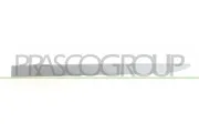 Zier-/Schutzleiste, Tür vorne links PRASCO OP0341424
