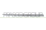 Zier-/Schutzleiste, Tür vorne rechts PRASCO OP0341443