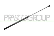 Gasfeder, Koffer-/Laderaum hinten links hinten rechts PRASCO OP0349065