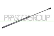 Gasfeder, Koffer-/Laderaum hinten links hinten rechts PRASCO OP0369055