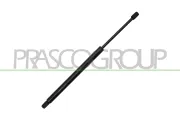 Gasfeder, Koffer-/Laderaum hinten links hinten rechts PRASCO OP3549055