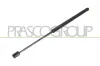 Gasfeder, Koffer-/Laderaum hinten links hinten rechts PRASCO OP4109055