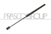 Gasfeder, Koffer-/Laderaum hinten links hinten rechts PRASCO OP4109055