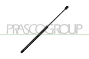 Gasfeder, Koffer-/Laderaum hinten links hinten rechts PRASCO OP4109065