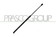 Gasfeder, Koffer-/Laderaum hinten links hinten rechts PRASCO OP4169055