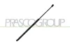 Gasfeder, Koffer-/Laderaum hinten links hinten rechts PRASCO OP4209065