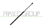Gasfeder, Koffer-/Laderaum hinten links hinten rechts PRASCO OP4209065
