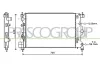 Kühler, Motorkühlung PRASCO OP700R003