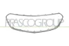 Rahmen, K&uuml;hlergitter PRASCO OP7022305AQ