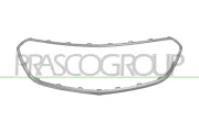 Rahmen, Kühlergitter PRASCO OP7022305AQ