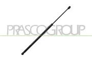 Gasfeder, Koffer-/Laderaum hinten links hinten rechts PRASCO OP9149055