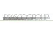 Zier-/Schutzleiste, Tür vorne links PRASCO PG0111424