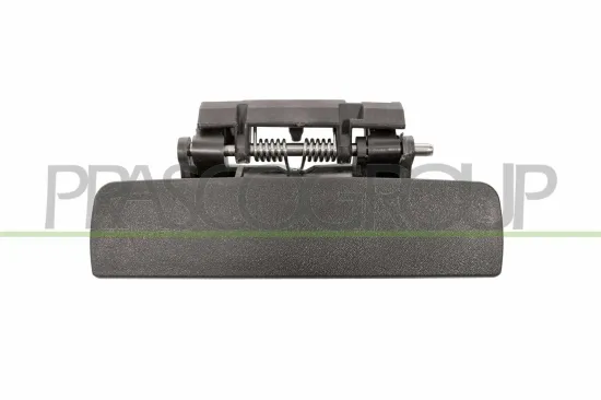 Türaußengriff außen hinten links PRASCO PG0408102 Bild Türaußengriff außen hinten links PRASCO PG0408102