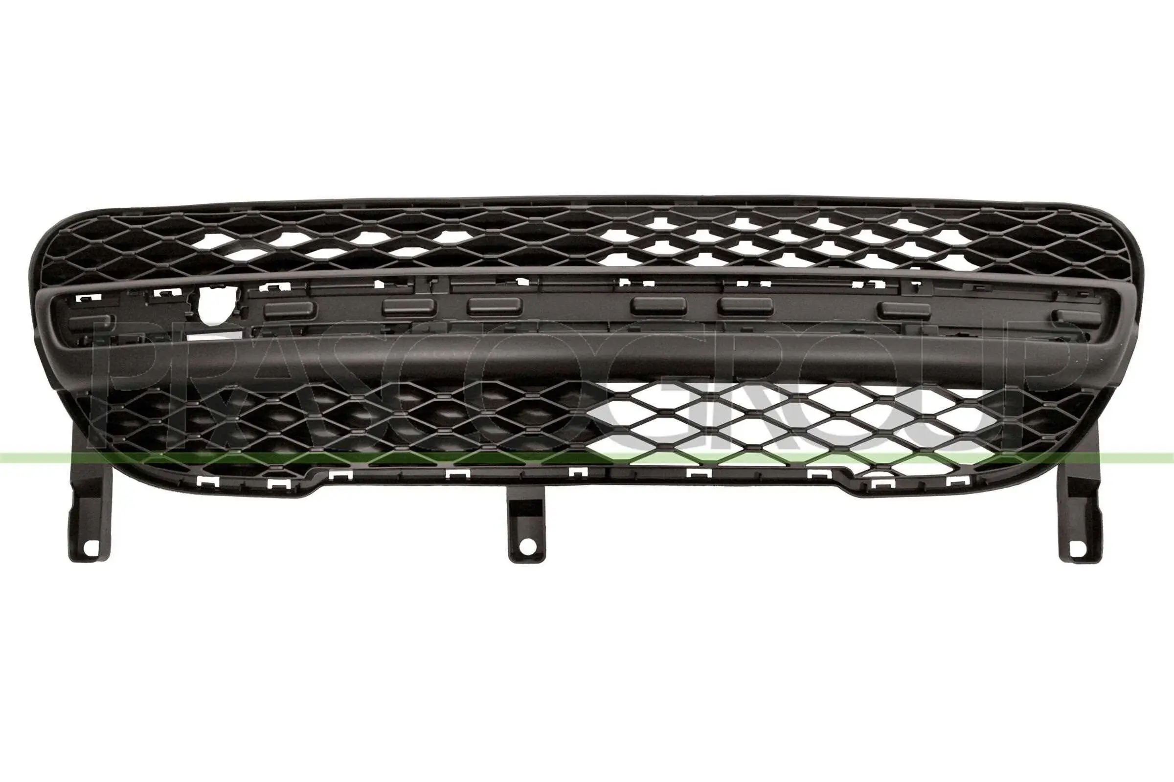 Kühlergitter PRASCO PG2022001