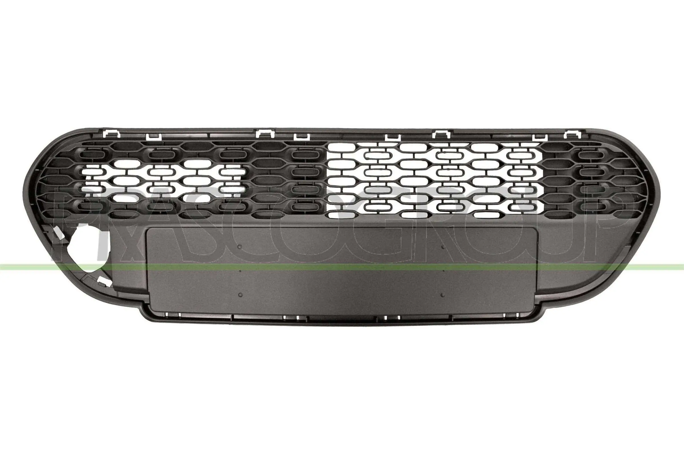 Kühlergitter PRASCO PG2042001