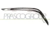 Zier-/Schutzleiste, Sto&szlig;f&auml;nger vorne rechts PRASCO PG2042141