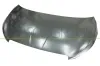 Motorhaube PRASCO PG2063100