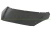 Motorhaube PRASCO PG2203100