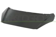 Motorhaube PRASCO PG2203100