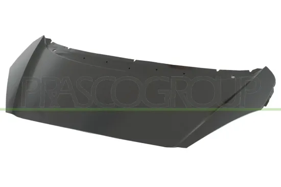 Motorhaube PRASCO PG2203100 Bild Motorhaube PRASCO PG2203100
