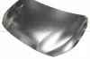 Motorhaube PRASCO PG3303110