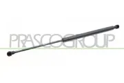 Gasfeder, Koffer-/Laderaum hinten links hinten rechts PRASCO PG4209055