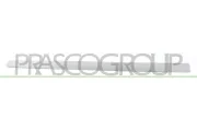Zier-/Schutzleiste, Tür vorne rechts PRASCO PG4221423