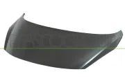 Motorhaube PRASCO PG4223100