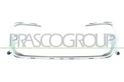 Zier-/Schutzleiste, Kühlergitter PRASCO PG4262206