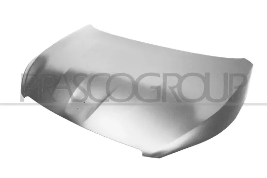 Motorhaube PRASCO PG4283100 Bild Motorhaube PRASCO PG4283100
