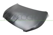Motorhaube PRASCO PG4283110