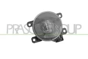 Nebelscheinwerfer links rechts PRASCO PG4284433