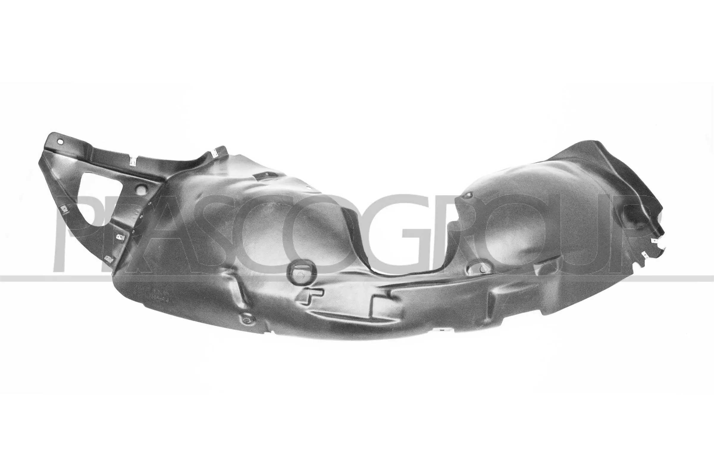 Verkleidung, Radhaus vorne links PRASCO PG5003604