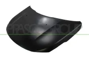 Motorhaube PRASCO PG5023100