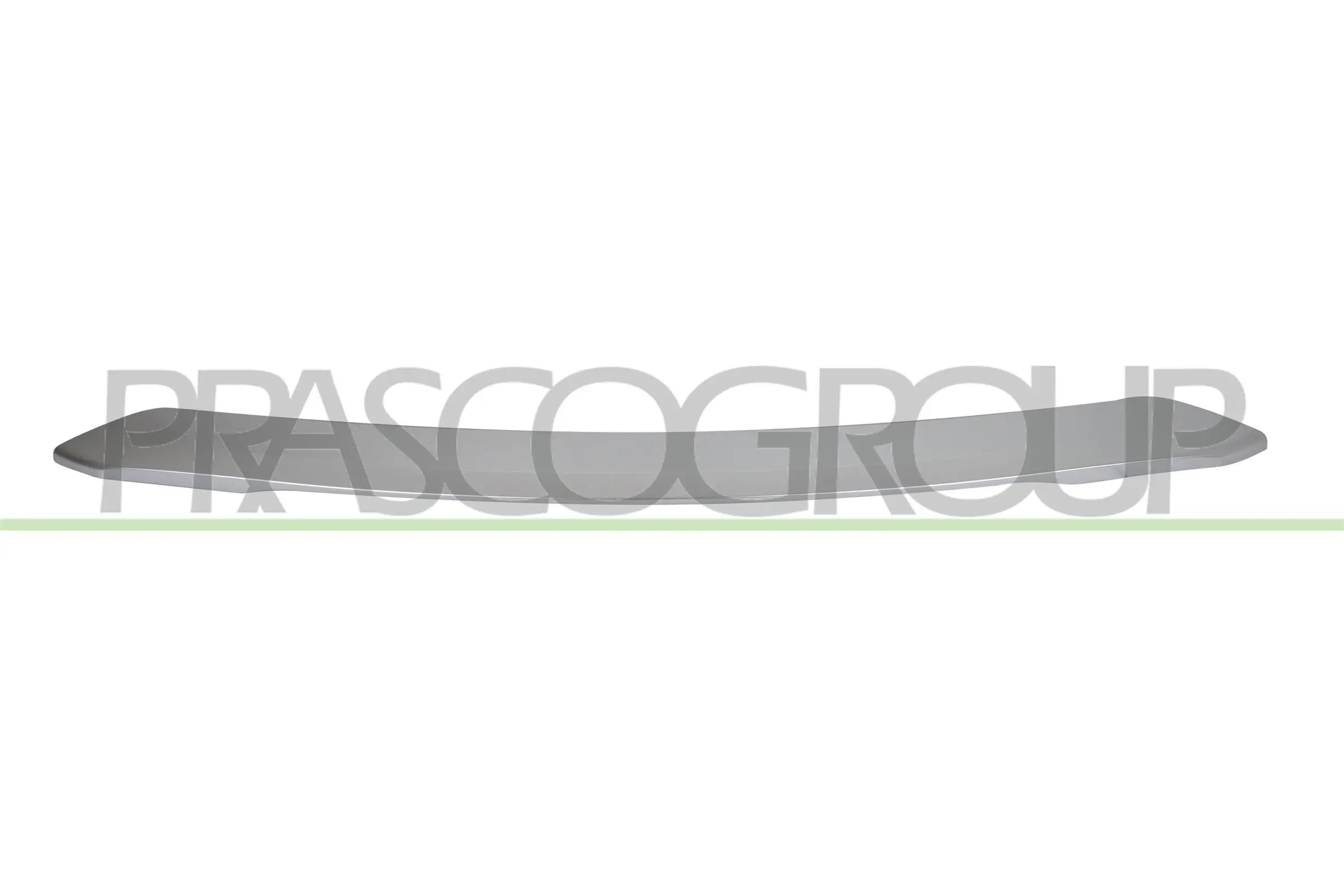 Zier-/Schutzleiste, Stoßfänger hinten PRASCO PG5041255