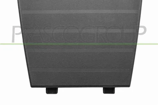 Blende, Stoßfänger vorne PRASCO PG5042105 Bild Blende, Stoßfänger vorne PRASCO PG5042105