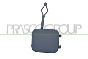 Klappe, Abschlepphaken hinten PRASCO PG5221286