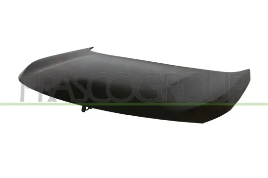 Motorhaube PRASCO PG5243100 Bild Motorhaube PRASCO PG5243100