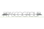 Zier-/Schutzleiste, Stoßfänger vorne PRASCO PG5252206