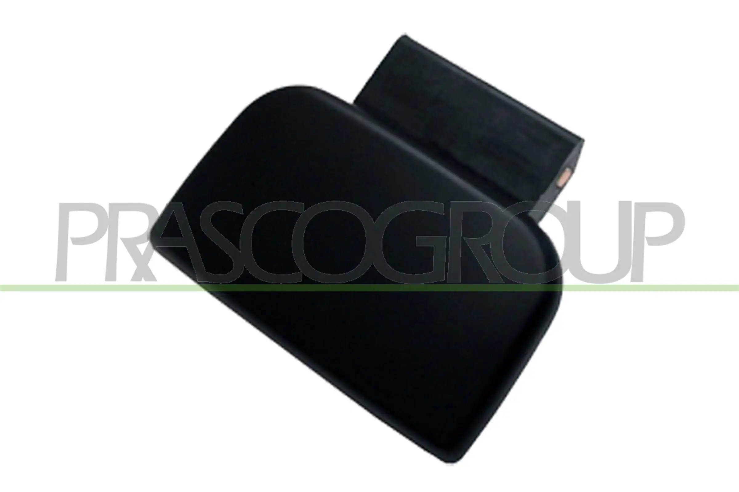 Türaußengriff Fahrzeugheckklappe vorne links vorne rechts PRASCO PG9048013