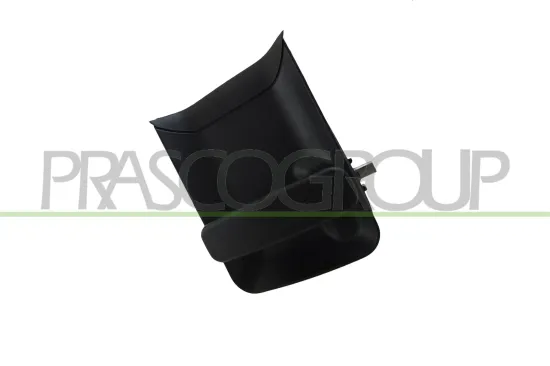 Türaußengriff außen hinten rechts PRASCO PG9048101 Bild Türaußengriff außen hinten rechts PRASCO PG9048101