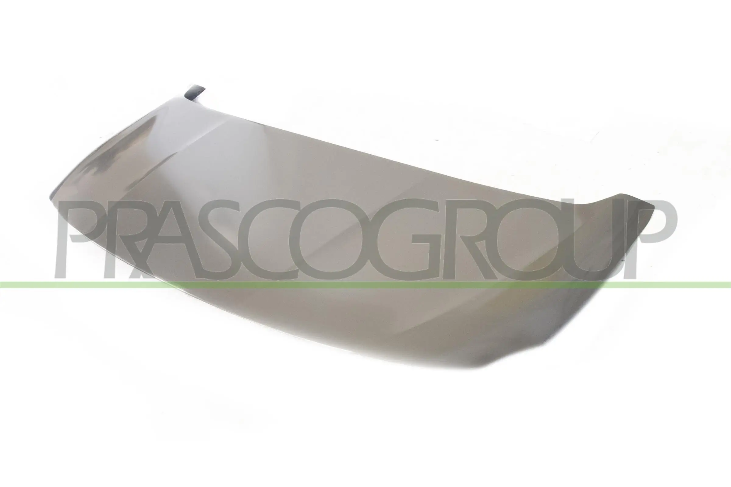 Motorhaube PRASCO PG9133100