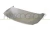 Motorhaube PRASCO PG9133100